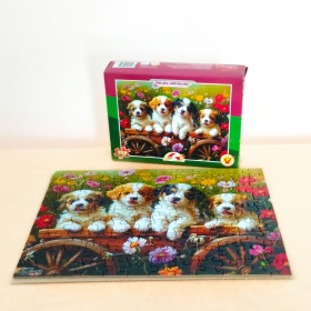 108-103 Four cute puppies