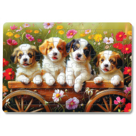 A3-127 Cúm Yêu, Cười Lên Nào!