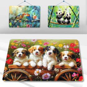 A3-127 Cúm Yêu, Cười Lên Nào!