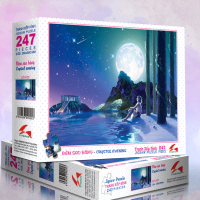 247-029 Đêm sao băng