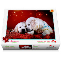 247-072 Nương tựa