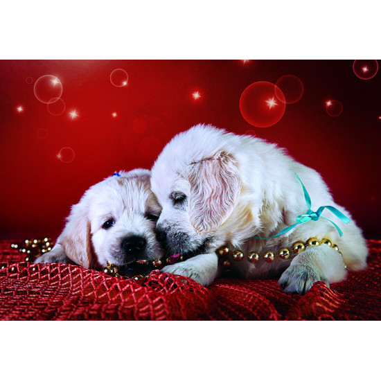 247-072 Nương tựa