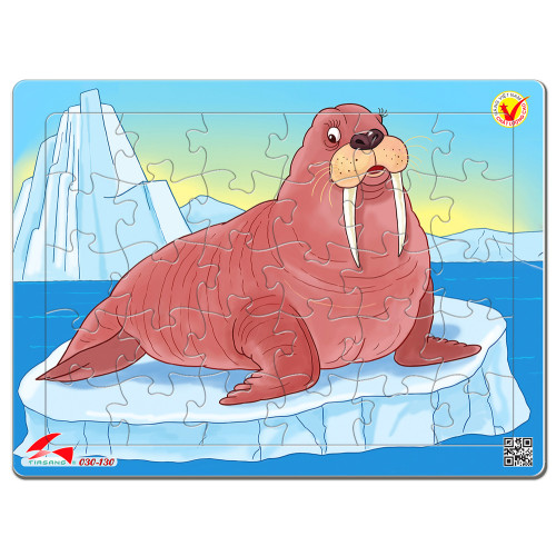 030-130 Sư Tử Biển