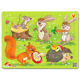 030-141 Chuột , Thỏ, Sóc Và Nhím
