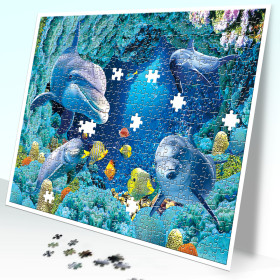 475-048 Dolphin Family
