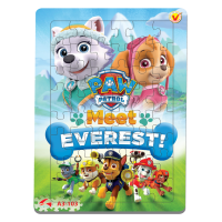 A3-103 Paw Patrol Everest
