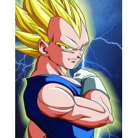 63-152 Vegeta 63-152 Vegeta