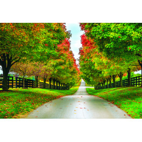 925-044 Early Autumn