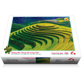 925-054 Rice Teraces in Mu Cang Chai, Yen Bai, VN