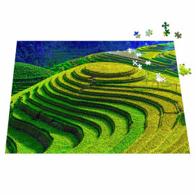 925-054 Rice Teraces in Mu Cang Chai, Yen Bai, VN